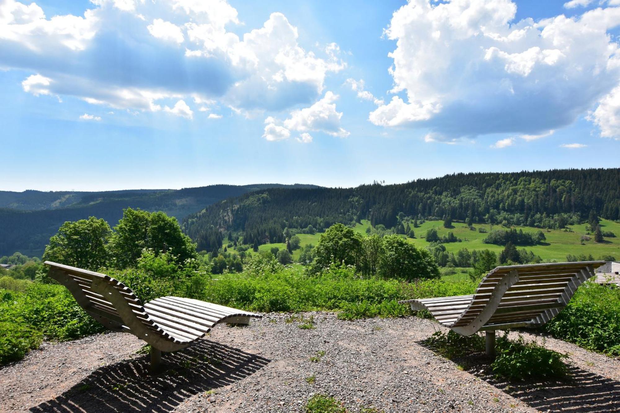 Schwarzwaldhaus Krebs - Villa Kunterbunt, Lenzkirch, Feldberg Bagian luar foto
